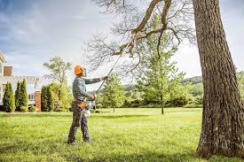 How Our Tree Care Process Works  in  Eaton Rapids, MI